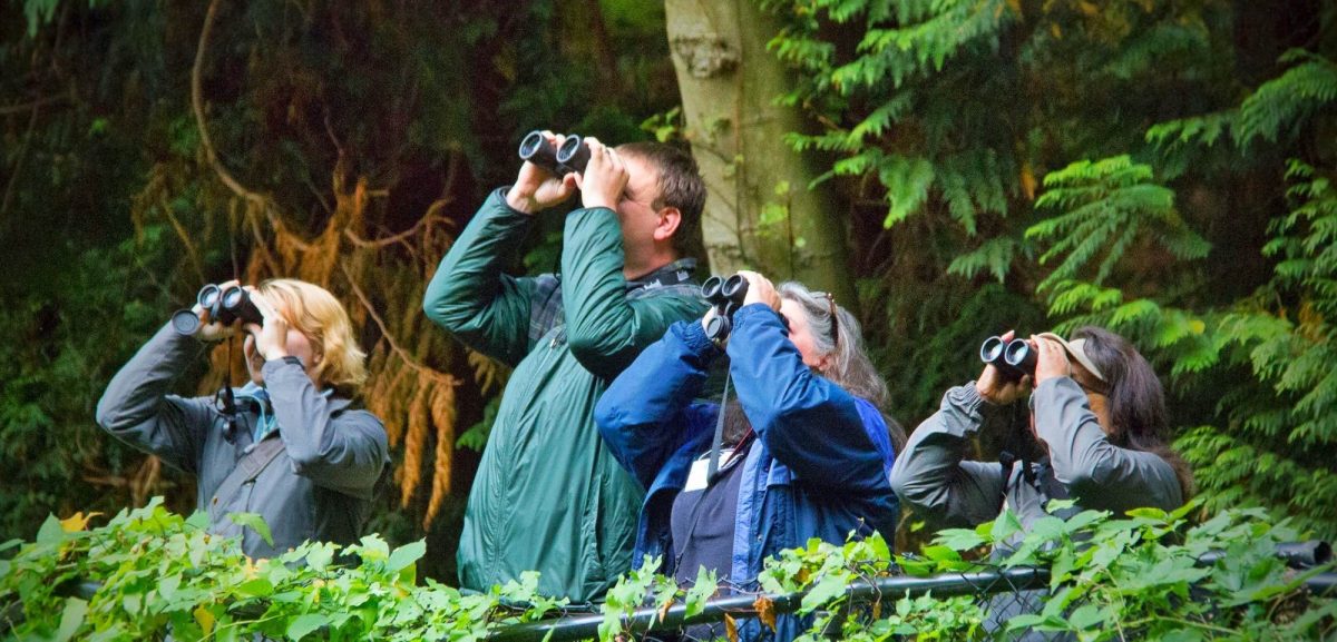 Edmonds Bird Fest About to Take Flight Edmonds Downtown Alliance