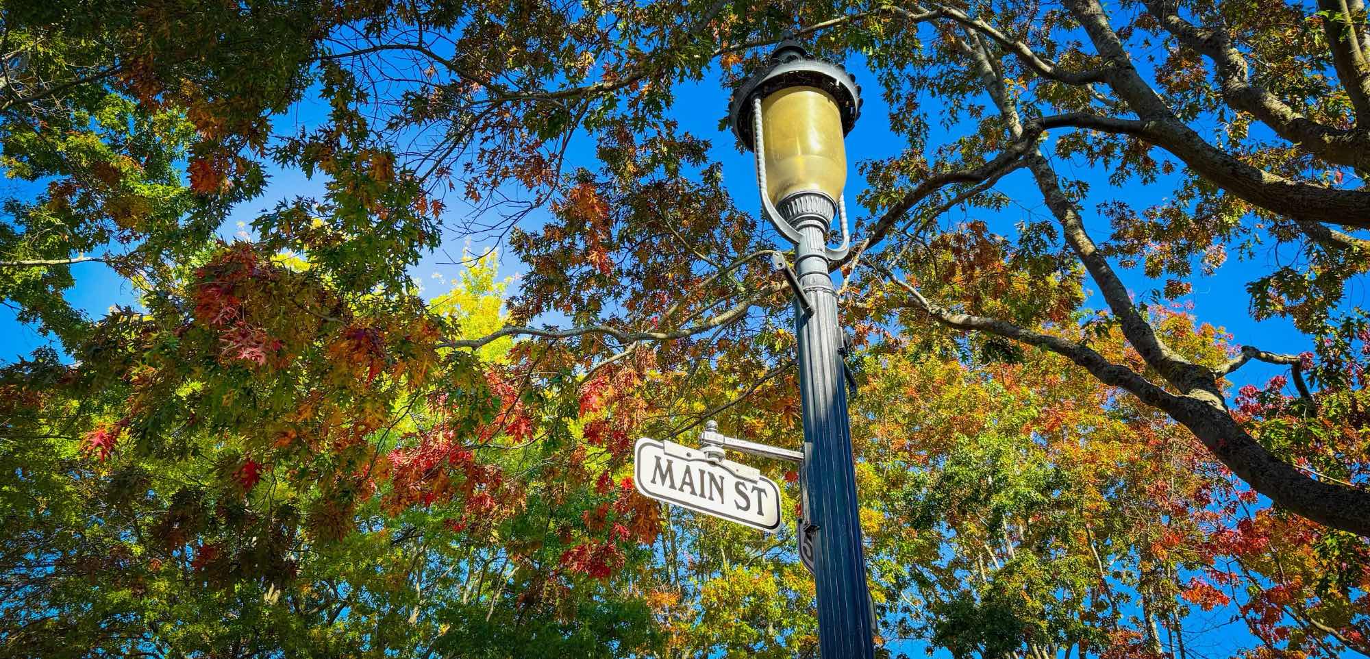 Main Street sign on lamp post with fall foliage in the background in Downtown Edmonds WA